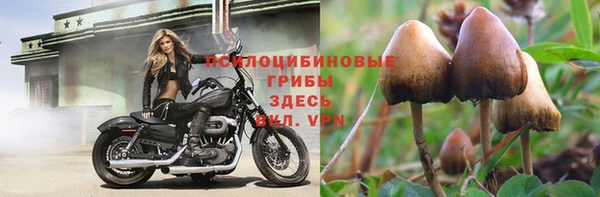 каннабис Абаза