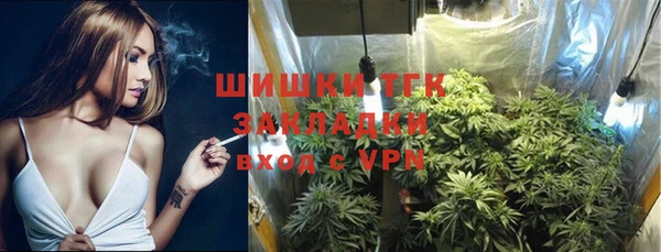 PSILOCYBIN Абдулино