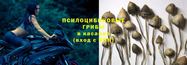 каннабис Абаза
